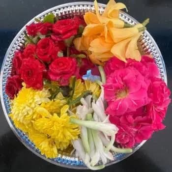 Traditional & Pooja Flowers