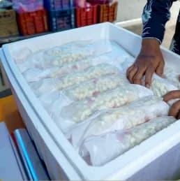 Freshness Sealed Clamshells