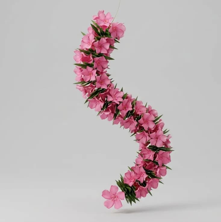 Arali (Nerium Oleander)