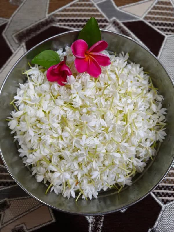 Kakada Jasmine (Loose)