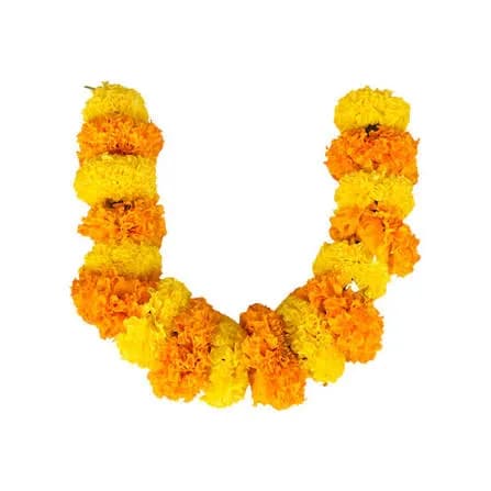 Double-Color Orange & Yellow Marigold String