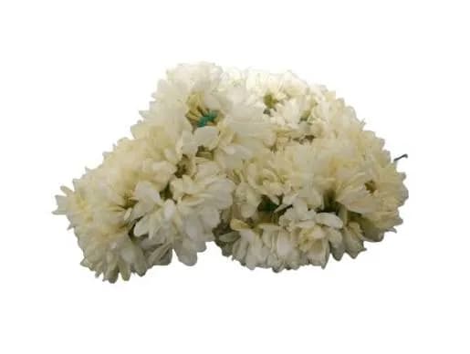 Bulk Jasmine Buds Wholesale Crate (5 kg)