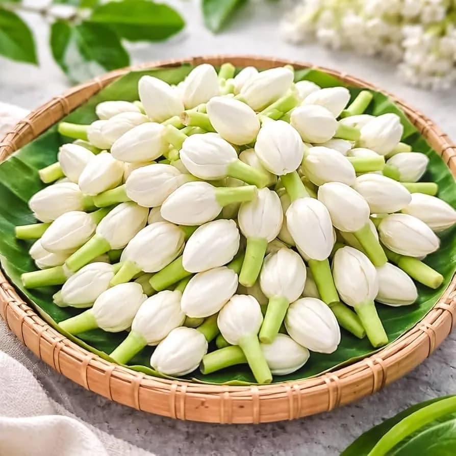 Premium Jasmine Buds Clamshell Pack (200g)